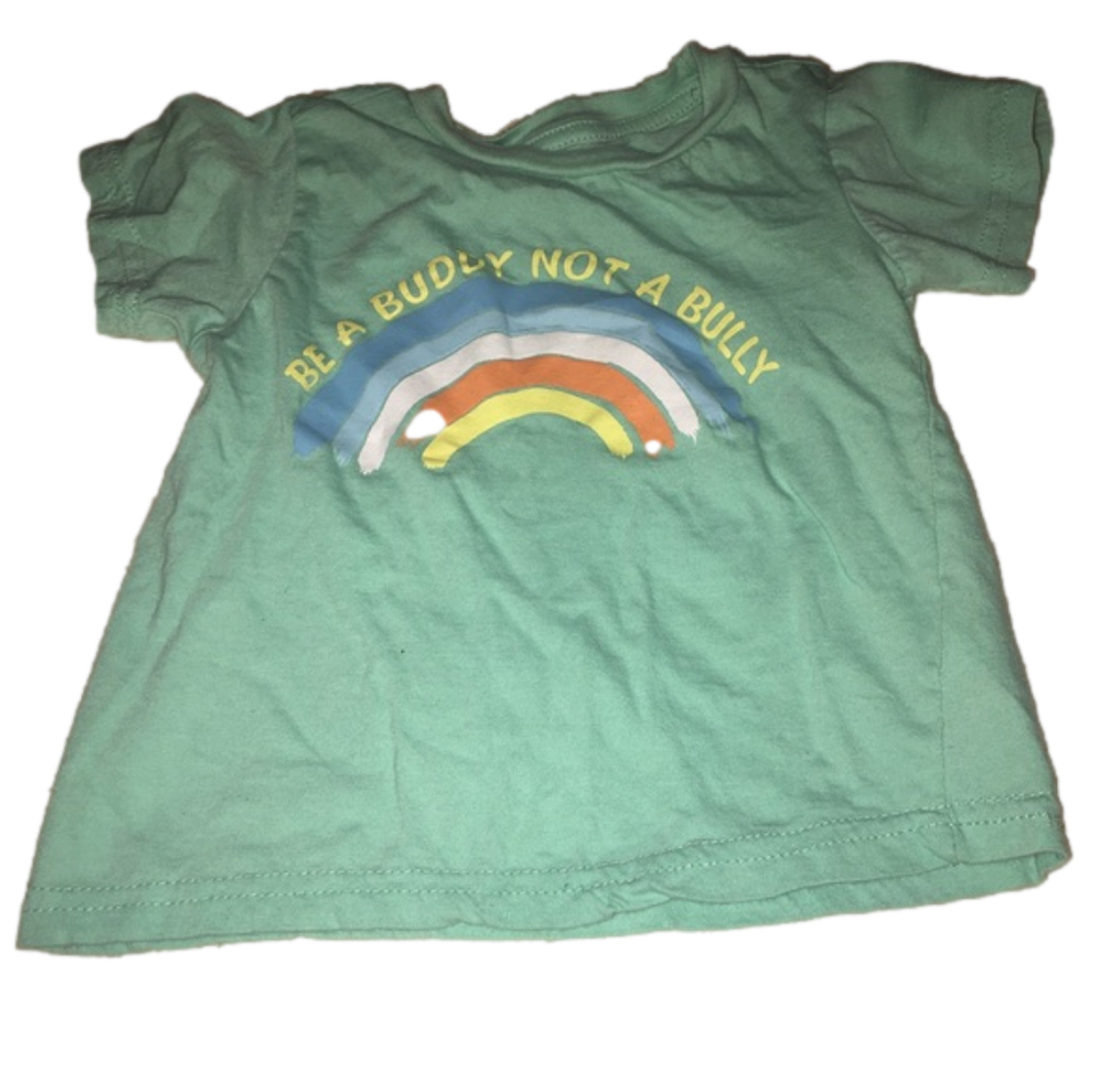 Alex & Jack Be a buddy not a bully toddler T-shirt